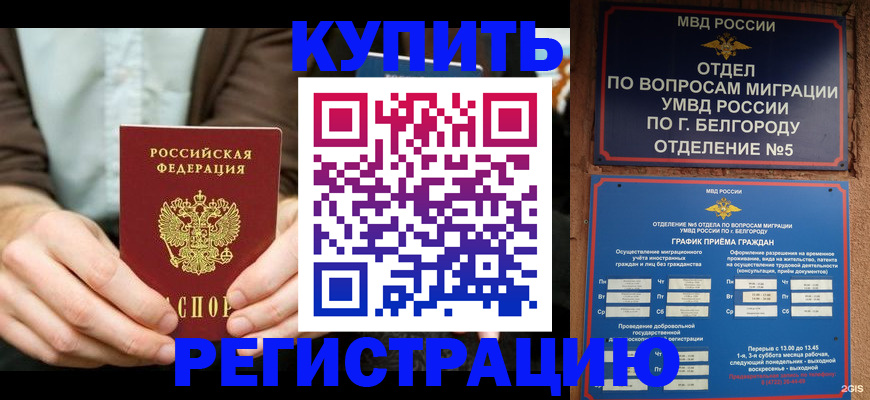 прописка 2025 в Кингисеппе